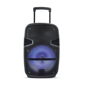 35W Rechargeable Trolley Speaker with One Wired Microphone RF Control RGB 12 Inch