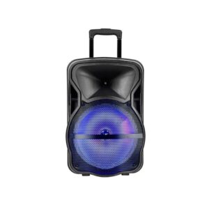 50W Rechargeable Trolley Speaker with One Wireless + One Wired Microphone RF Control RGB 15 Inch